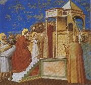 Giotto, Presentation of the Virgin in the Temple